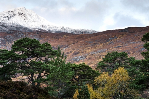 Frédéric-Demeuse-nature-photographer-highlands-scotland-6